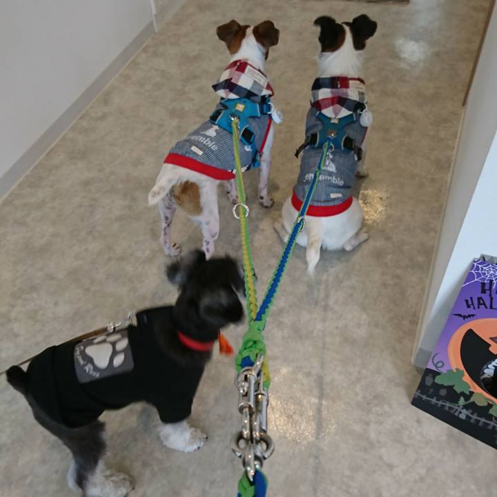 8b3de007 002a 437b 8dfd dab515546b1a 1571294176283