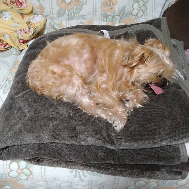 8b3e8d93 dda6 4353 80fe dd22236c0e1d 1604560509009