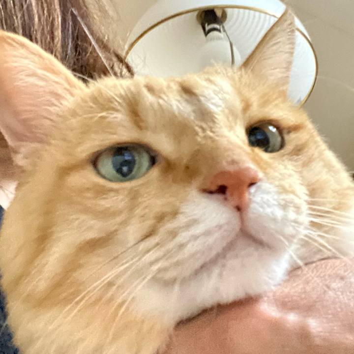 8b3ec9dd 9f58 41db 9091 b4059d4cf74f 1727221351094