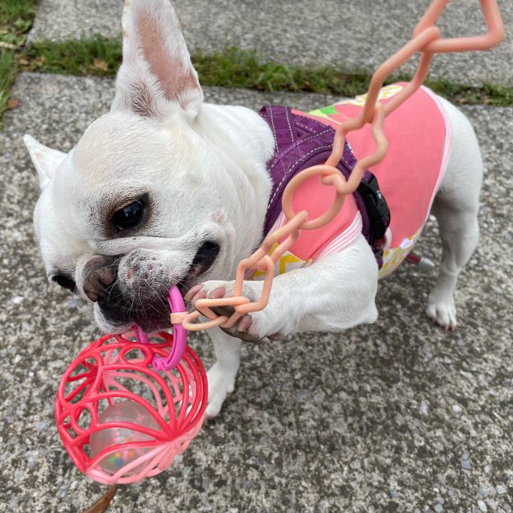 8b3f342a 1b47 4232 bba0 620d5bac39e9 1747041026916