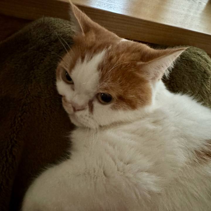 8b3f4b78 ba3d 464b b2c0 294edea6cfc1 1761049813523