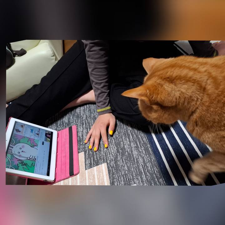 8b3f5173 6f53 42c3 a32d 637ffede1e6a 1743301646804