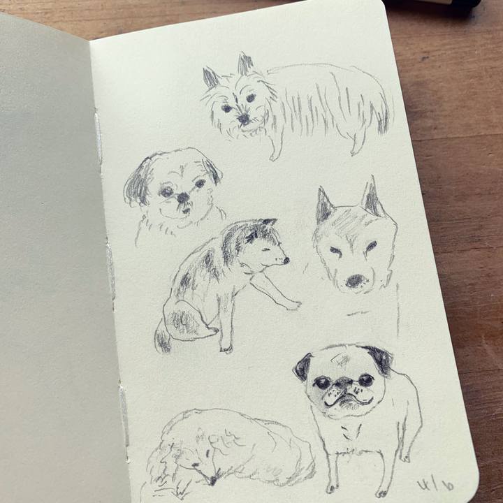 8b3f5384 283e 4571 96f7 ed56b7b2871a 1649204537445