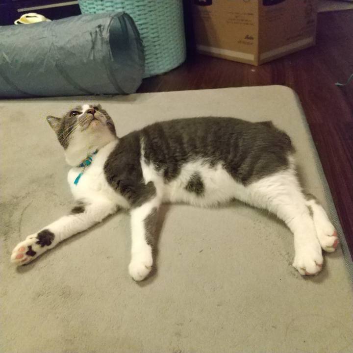 8b3f6a06 5934 4148 8ce5 ce3c99b8f851 1631624906589