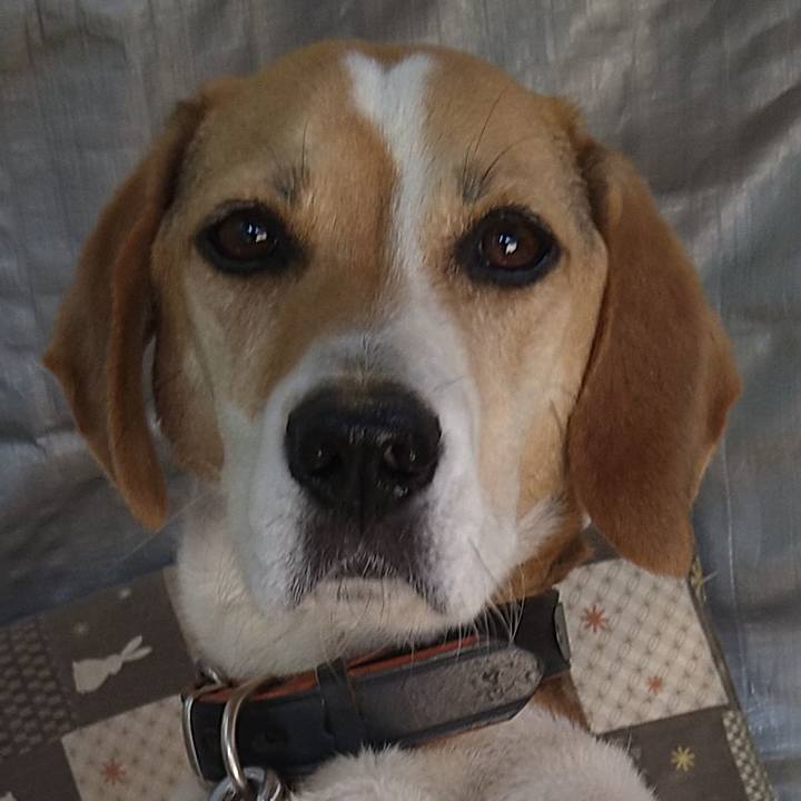 8b3f8ca3 5023 4be5 ac1b 7b76967a3d0f 1655188347770