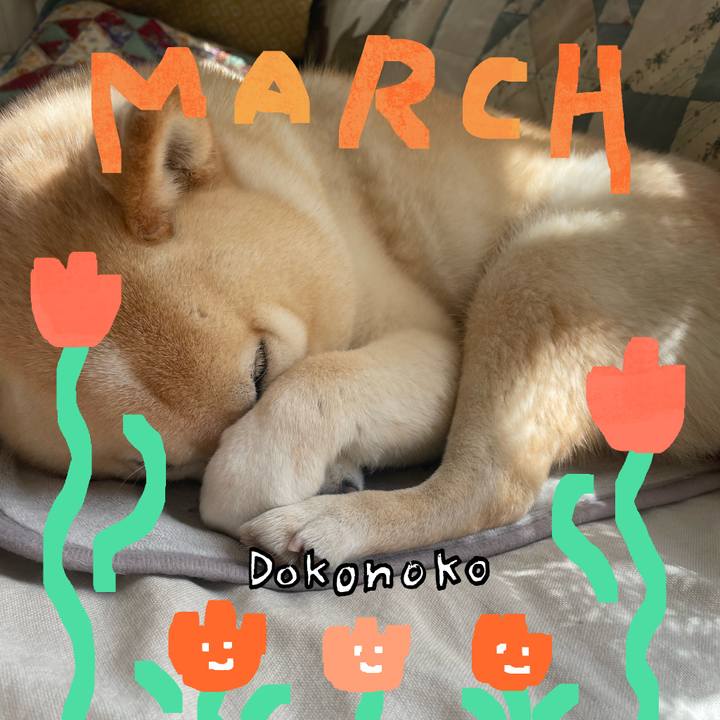 8b3f9803 ae03 4922 b4d8 f7cf61af8436 1741521471134