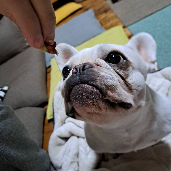 8b3fe5be 1fec 4b33 91e3 4e9b5e2dcf8f 1696720898828