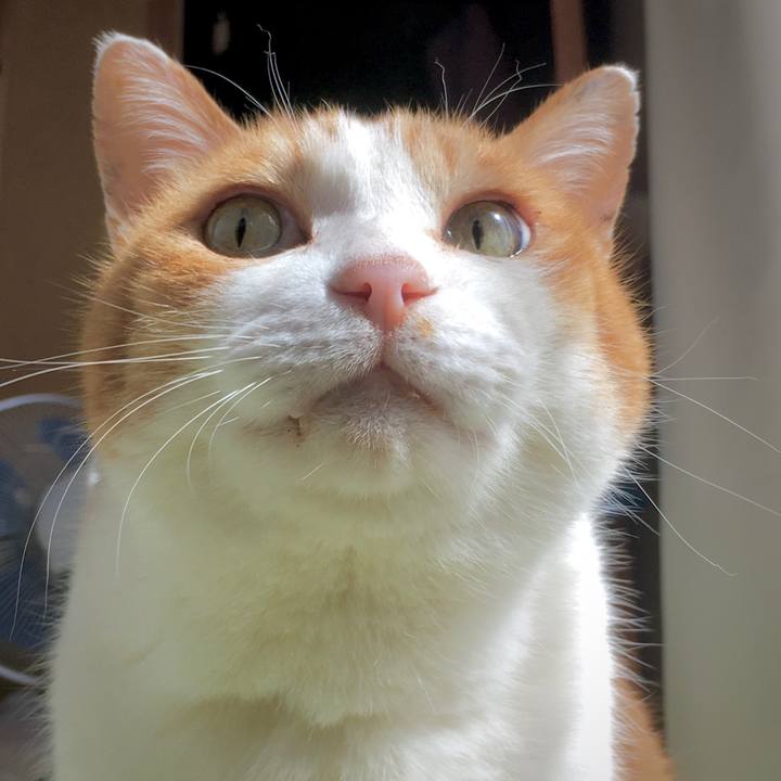 8b3ffc89 05ec 4ba5 a9d7 cc5b01fde927 1587710195648