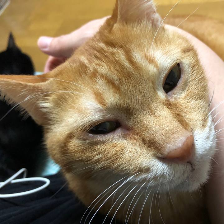 8b401481 f1e3 4a51 ad87 41669b2f4a21 1664198308087