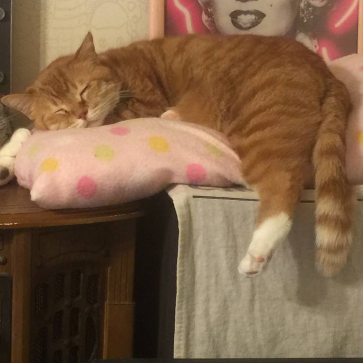 8b402f15 8e91 464a af37 373e4e80093a 1550398767526