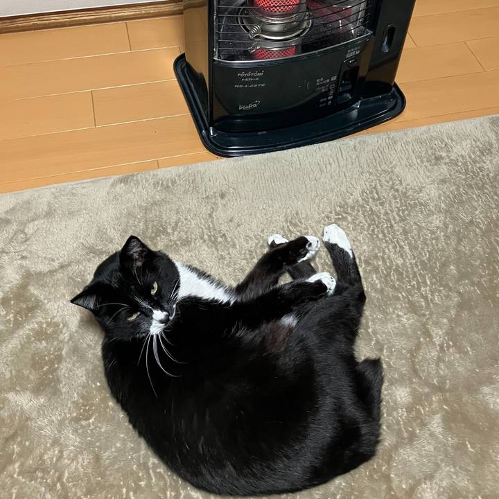 8b403c6c 3e3c 4fa8 9722 71268e5a1441 1678764403382