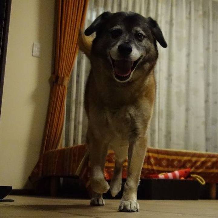 8b404bbb 5df0 4a40 a24b a70299e96792 1524394824783