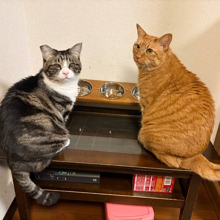 8b407a39 78be 41c9 b60d db7844e80733 1764760330754