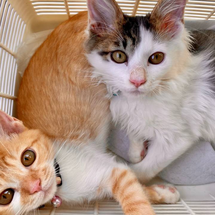 8b40a19d 5b5a 48fd baa4 f0cc0741e8ef 1632123719358