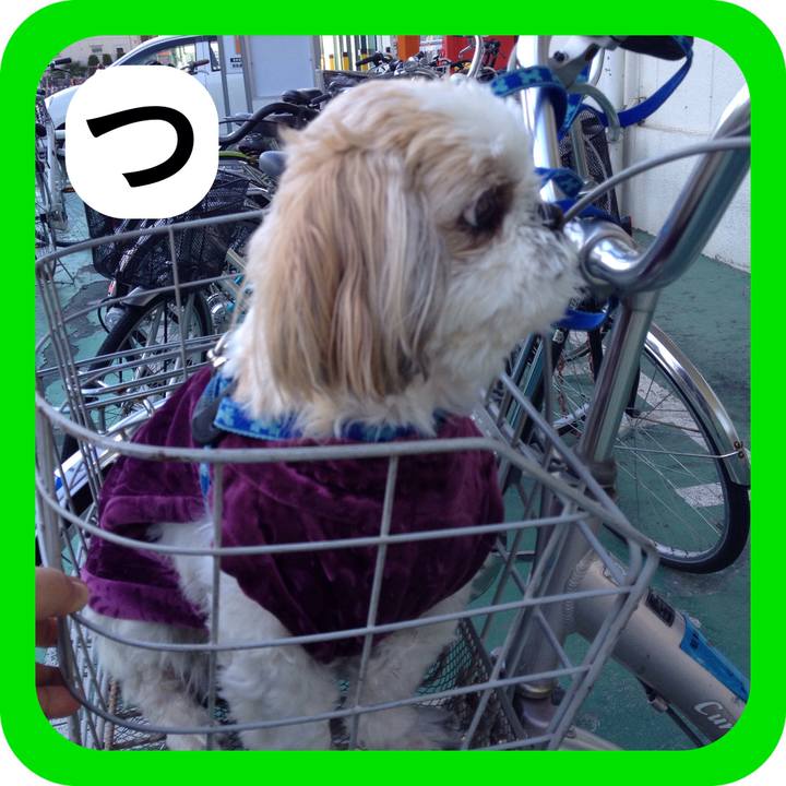 8b40a1ce bd02 4d9b b6f6 f64a9211d8a1 1515070400296