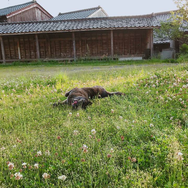 8b40a97a 1456 41a8 b24a 8d4830e8fc54 1527975634710