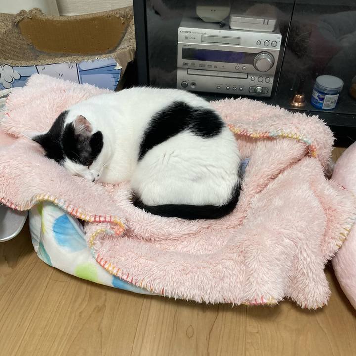 8b40c369 82e4 408e b427 f68d6bd264b6 1758666756063