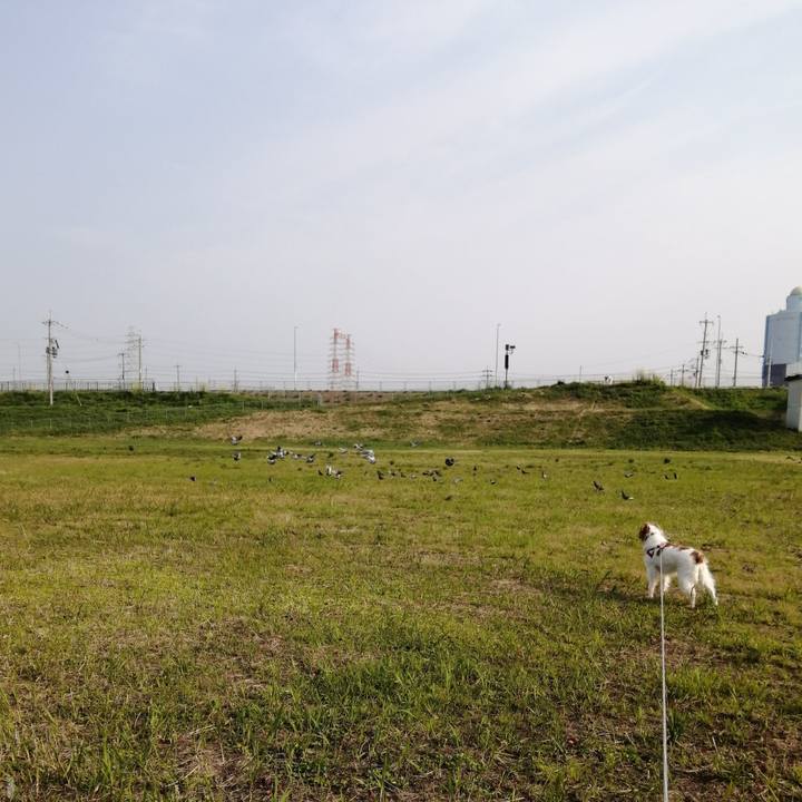 8b40c437 0168 4a9d 9bc8 6865ec7a86cb 1587088052460