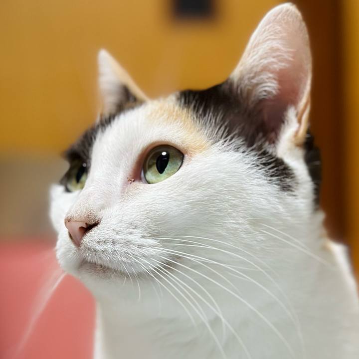 8b40e46c 143a 4df5 ad73 b7fb4bf662b6 1696901603071