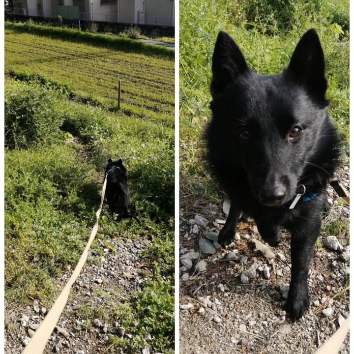 8b40fda8 dee5 4db1 b997 95f9c34dcb2e 1618700936526