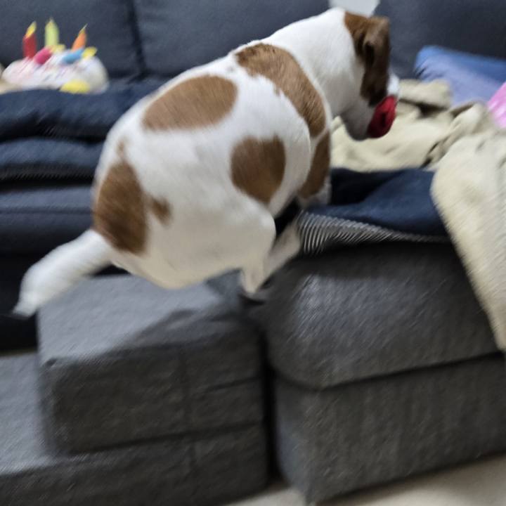 8b411bd8 65e1 47b5 841a 901ab5a42e87 1762690395737