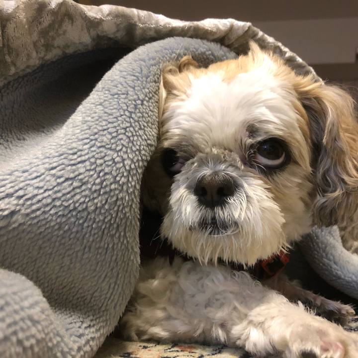 8b411f9c bbd3 4b46 bcc9 4d428421d714 1613598622339