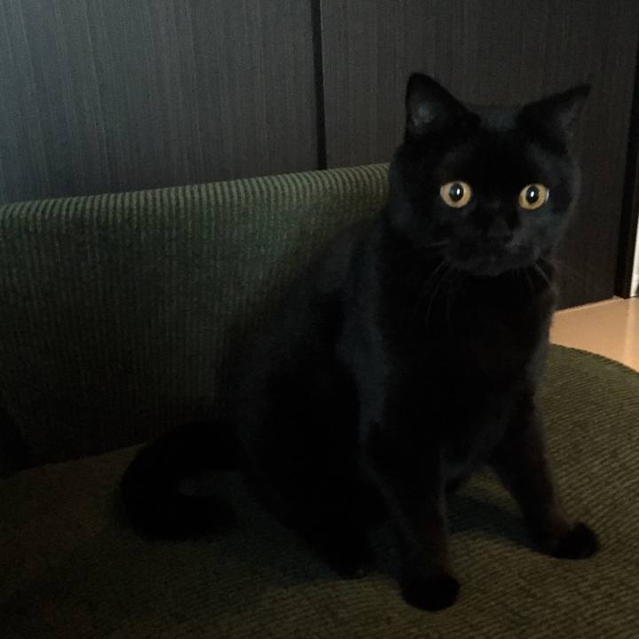 8b412344 1d17 40e6 8f08 5dc39614ec0e 1541933468853