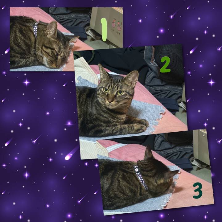 8b415516 4ecd 454a bc77 c744b331cb18 1576463099303