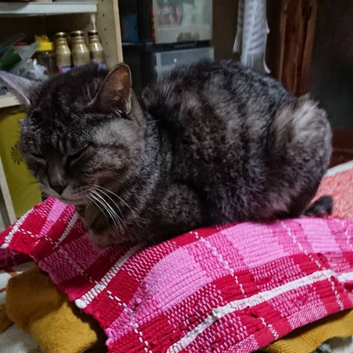 8b416c1f 8fd1 46e3 a799 745abae7fa25 1552037150228