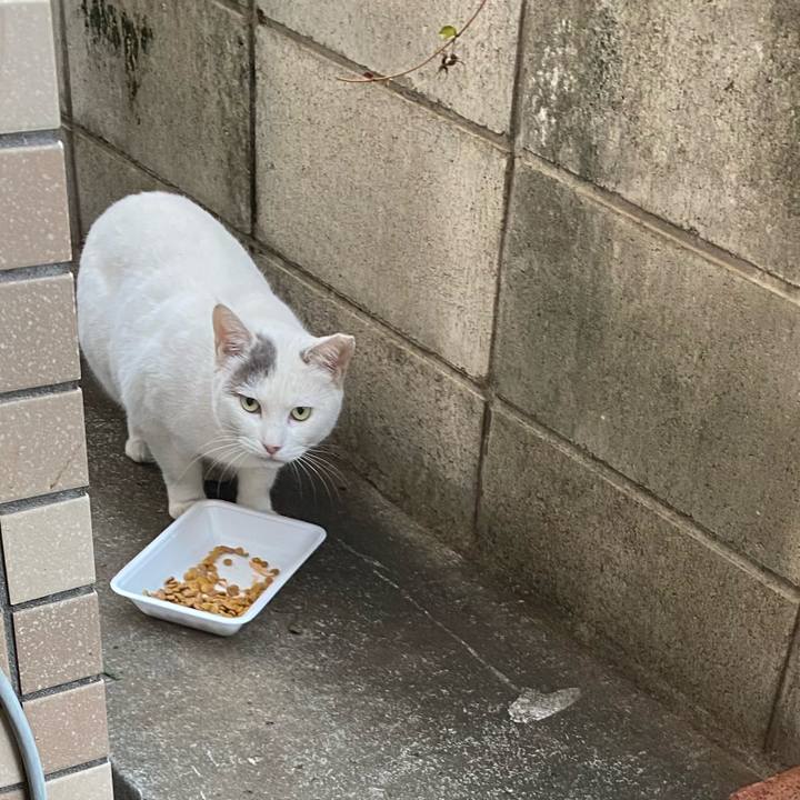 8b416c32 603f 4809 a7a0 27a77cac9e22 1637035367639