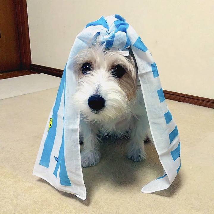 8b41a480 3d50 44bc 89b7 a35388aac5f5 1537823315237