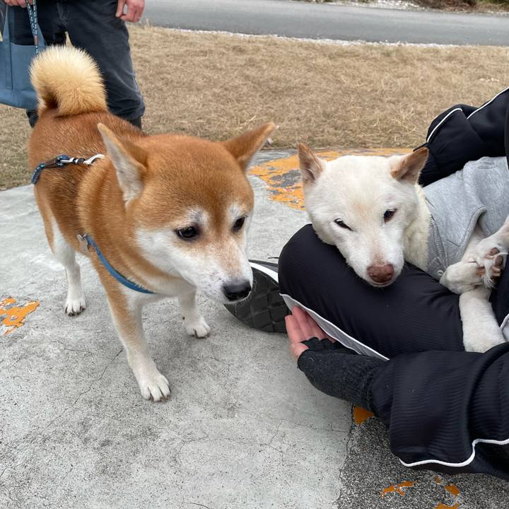 8b41e186 e85d 4748 bfbc 437785a01876 1673951118798