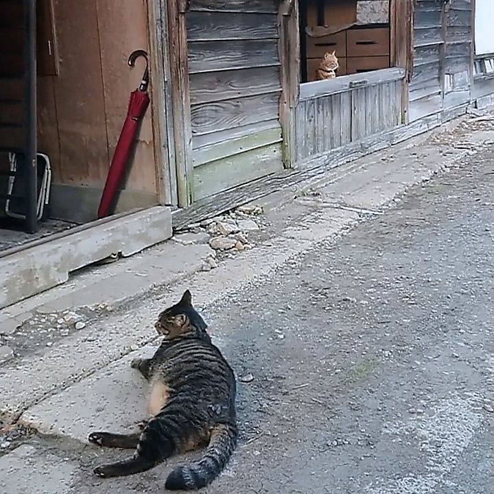 8b425624 422f 4d13 9689 c68a89937bce 1662971770994