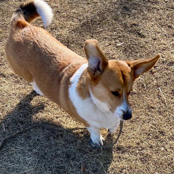 8b42697e a244 4daa 8422 7772a5a6adb7 1673315766632