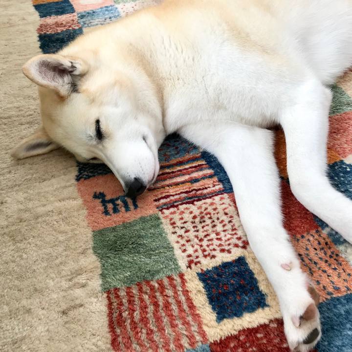 8b4285da 4643 42a4 8e9e e8d64eae888c 1520745005597