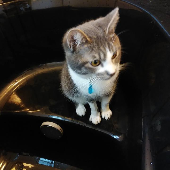 8b429286 7aa1 4c67 98a1 dd926db1b588 1577661106999