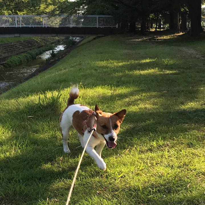 8b429435 3b20 45a0 8d9c 26816b34d32a 1658795435211