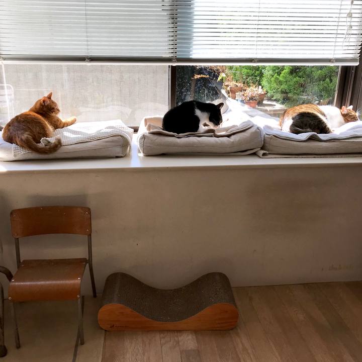 8b4295d5 984c 475d 8350 78ef0c088392 1520845637252