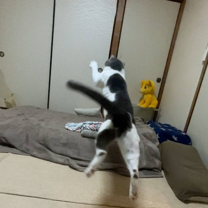 8b42a35f b85b 4b26 8e8d a8aac7113d53 1675589200993