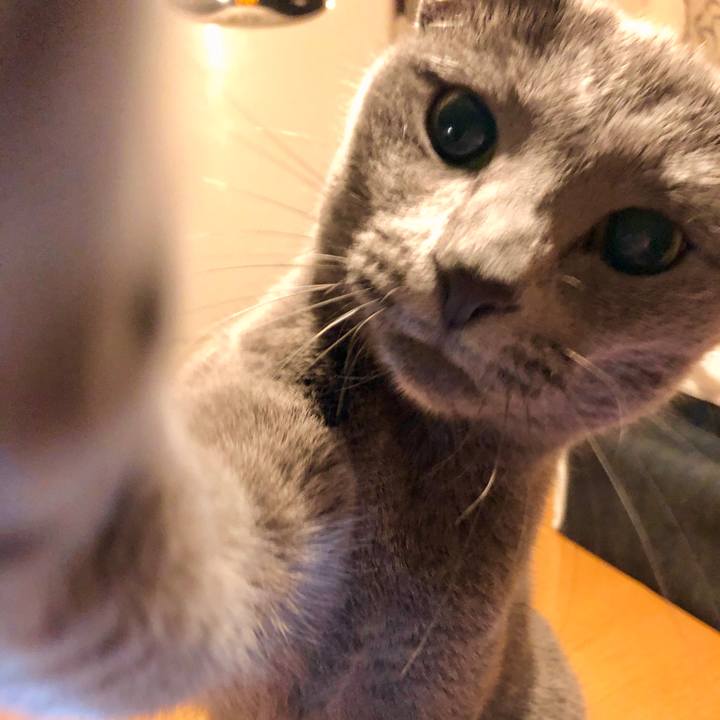 8b42ca1e 8048 4ea4 bc4b e50cf5293ee8 1627955388394