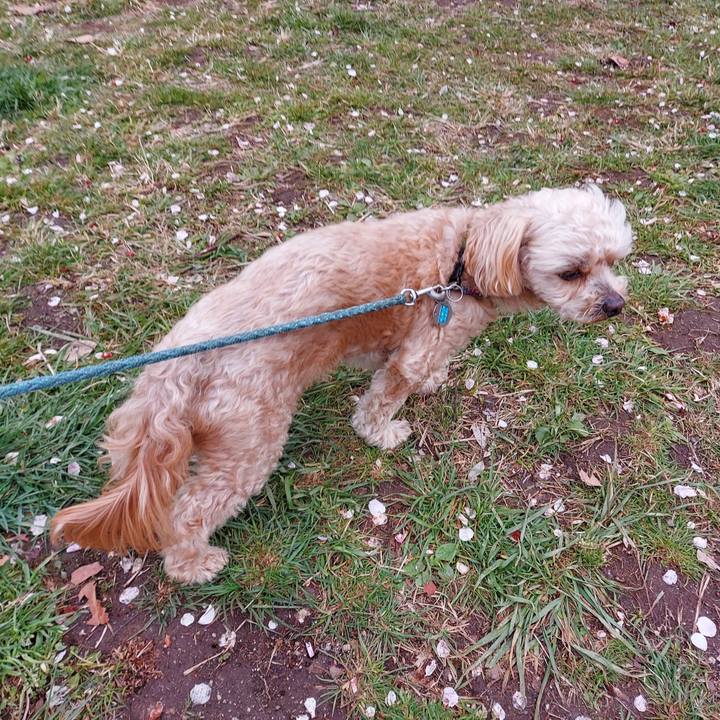 8b42e103 4e38 4686 ade7 37255605af9d 1648034470757