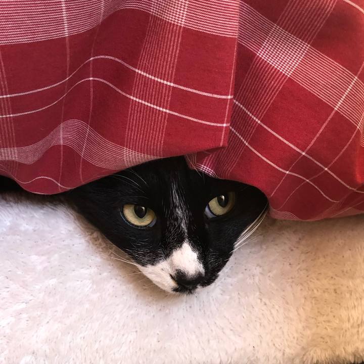 8b42eaf9 4933 49d8 a71a 2c1a511203eb 1578541836950