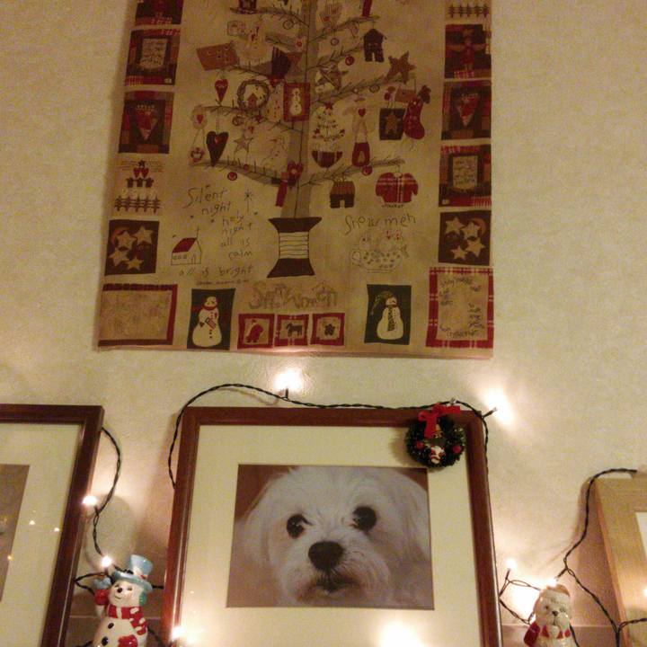 8b431713 c333 4a7e 858e 1860f440137b 1513508882477