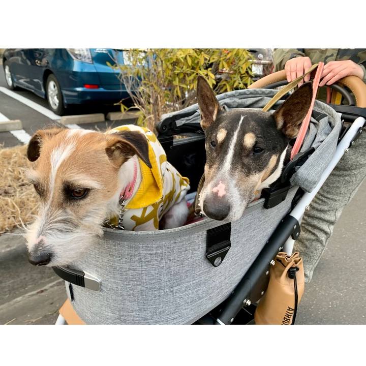 8b4338b7 4a0e 4e3c bf06 a7683c75eb3e 1612701982379