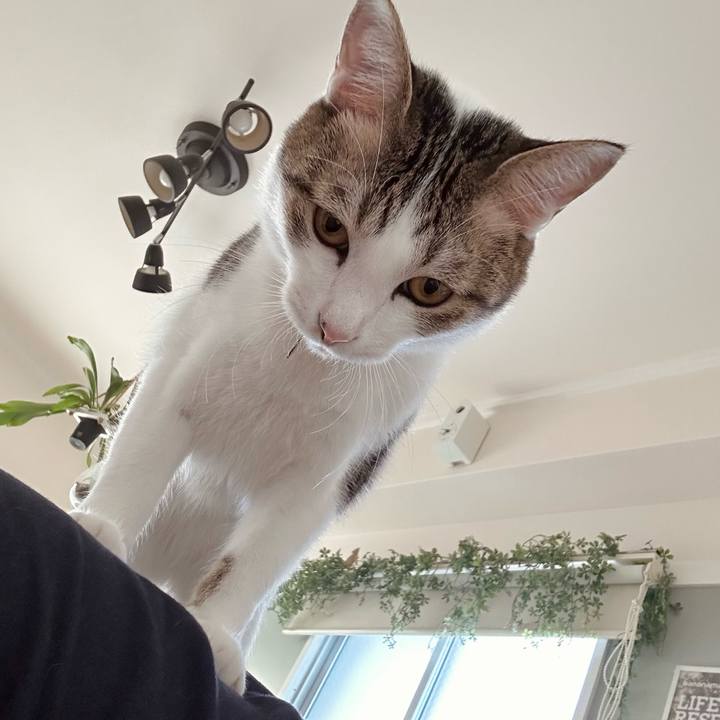 8b434d72 8f06 41c4 b80e 5662ba3fa570 1762815683295