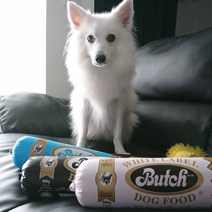 8b437be0 49a4 4d06 9f56 e8339d666895 1535427216888