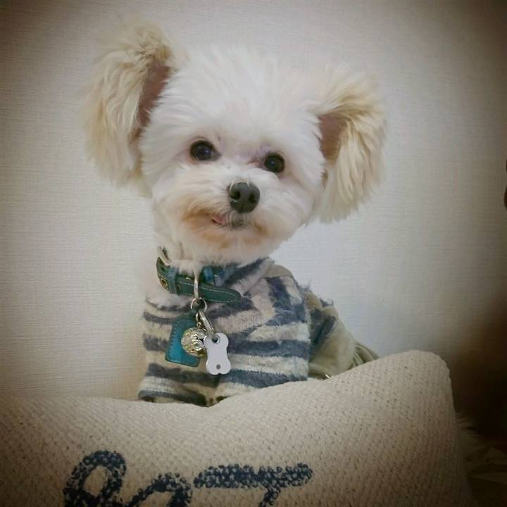 8b43bc25 4532 40d1 aae1 51ac7ba36478 1514807673103