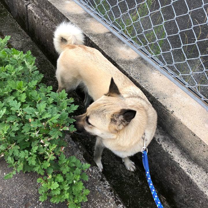 8b43c75b f211 4b05 8873 d2df02996a5b 1530534032256