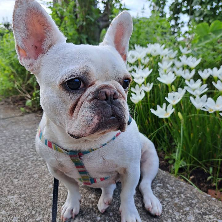 8b43cab6 3fdb 4fd9 9d1e ed4992daeae2 1694387063865