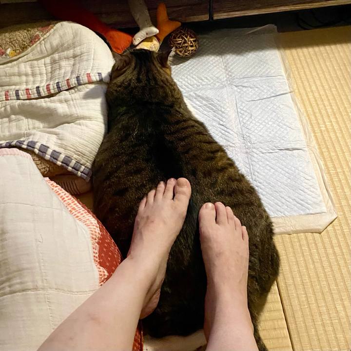 8b43eaf0 ef97 4b19 8ad3 14e4a362c59a 1755960379861